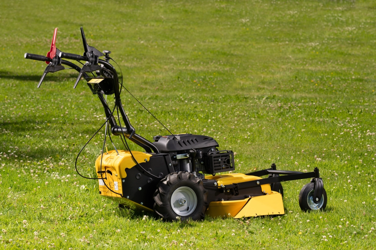 Roques et Lecoeur RL210B Vierrad-Rasenmäher mit Briggs & Stratton Motor – Image 4