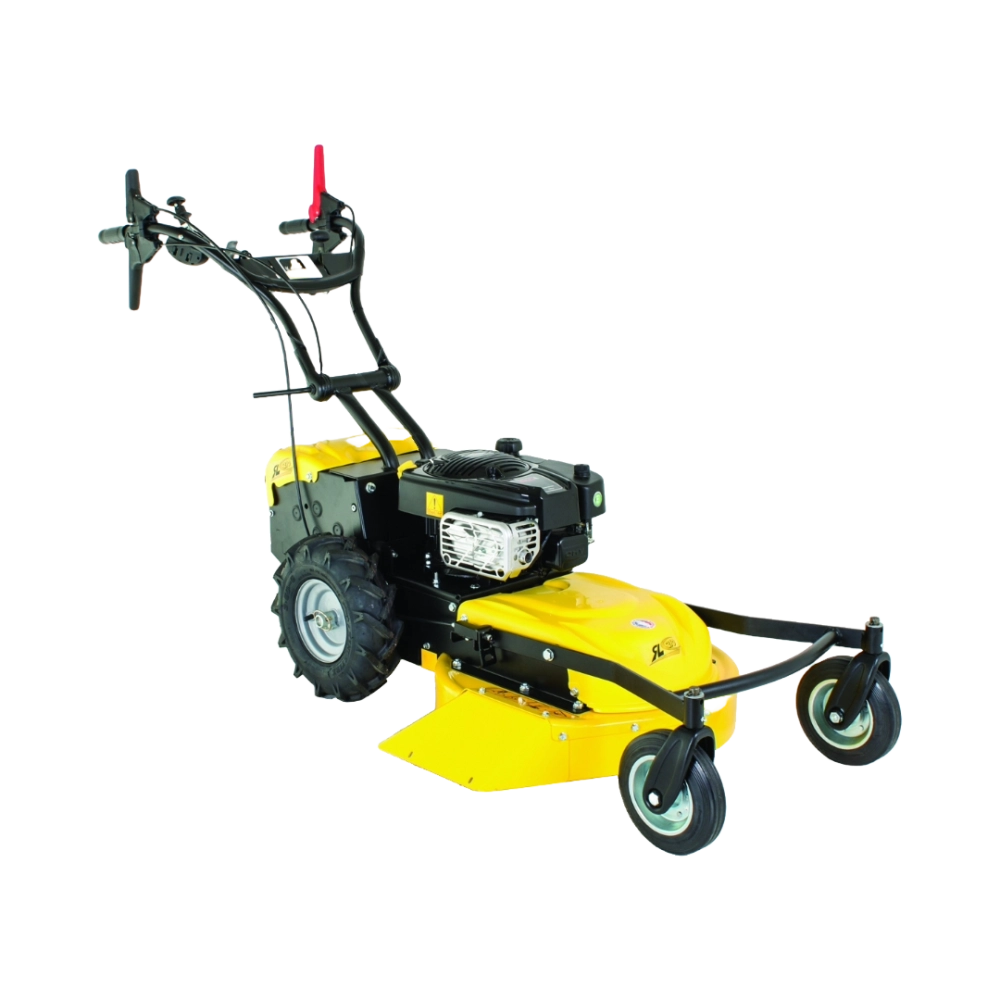 Roques et Lecoeur RL210B Vierrad-Rasenmäher mit Briggs & Stratton Motor – Image 2
